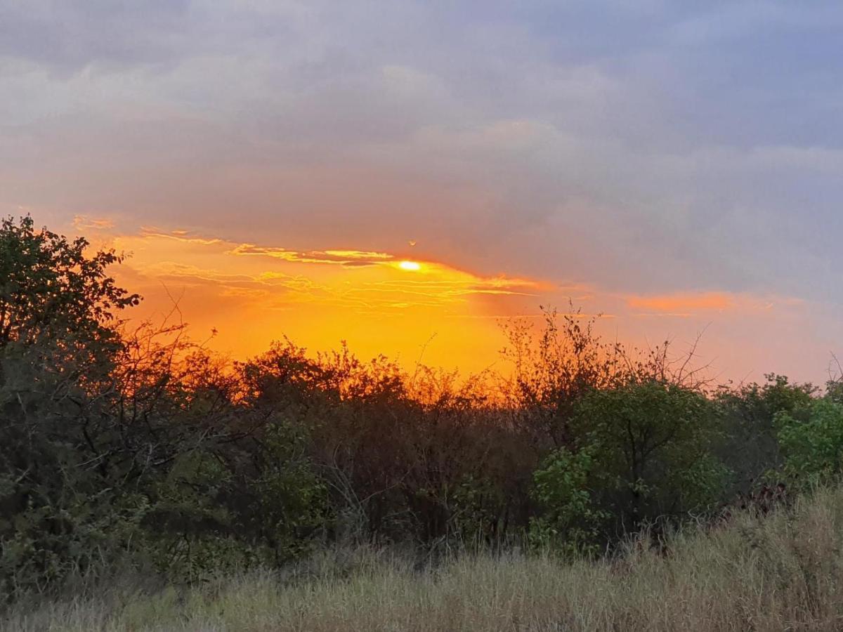 Masorini Bush Lodge & Safari Tents Phalaborwa Luaran gambar