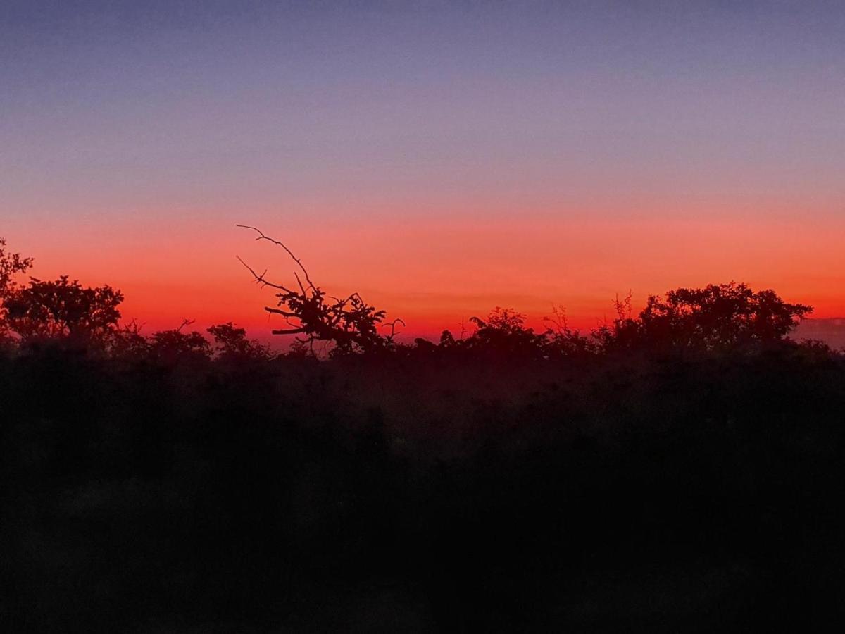 Masorini Bush Lodge & Safari Tents Phalaborwa Luaran gambar