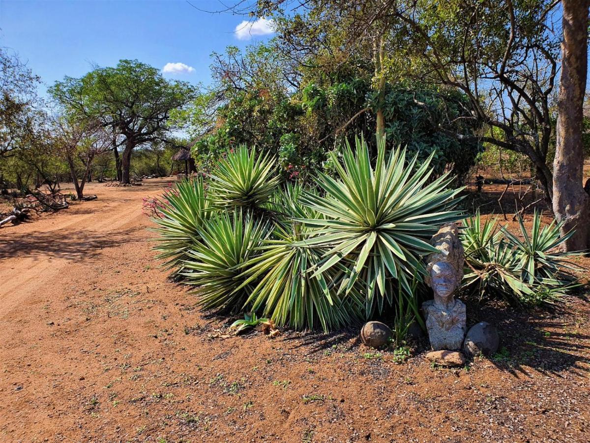 Masorini Bush Lodge & Safari Tents Phalaborwa Luaran gambar