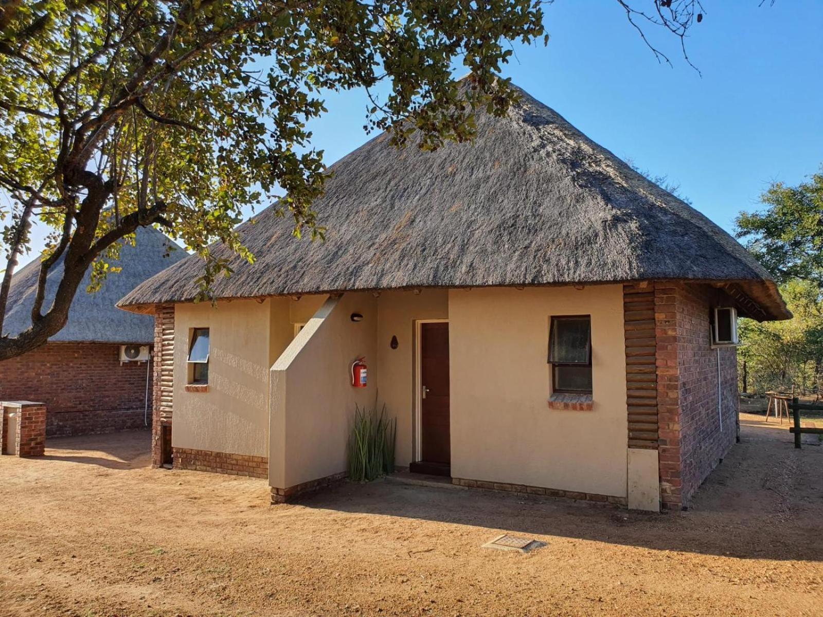 Masorini Bush Lodge & Safari Tents Phalaborwa Bilik gambar